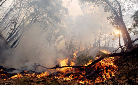 Arranca fuerte temporada de incendios forestales