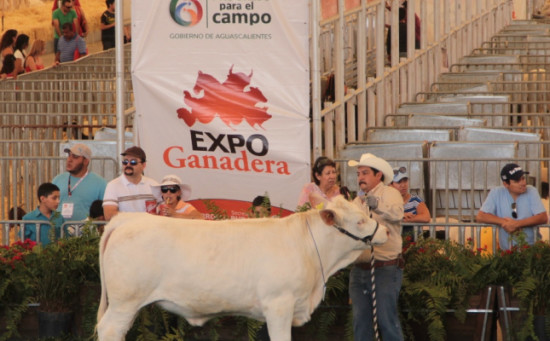 El crecimiento de Aguascalientes se reconoce ampliamente a nivel nacional: EMM