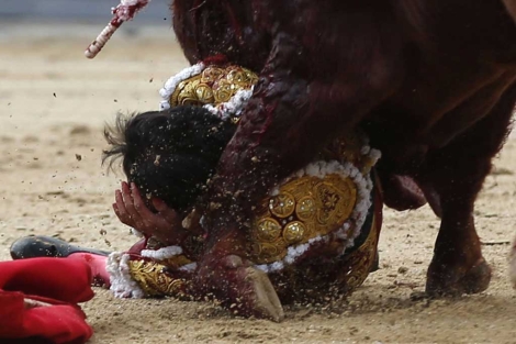 Triunfo y cornada para Joselito Adame en Burgos.