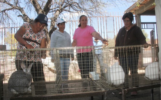 SEDRAE supervisa programa cunícola.