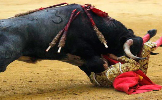 El diestro hidrocálido Joselito Adame se recupera Favorablemente