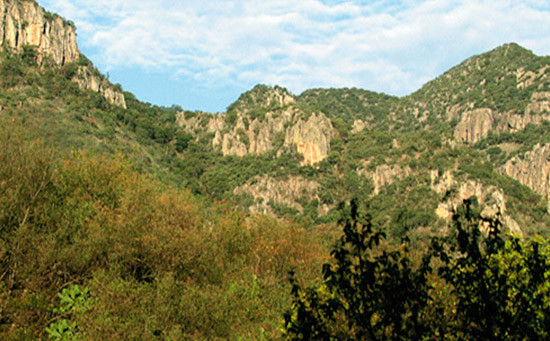 Aguascalientes, líder nacional en materia ambiental