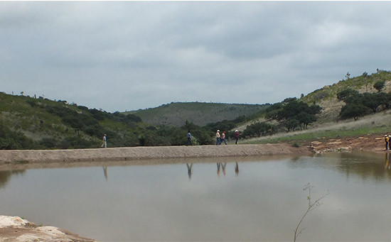 Captación de agua de lluvia en el campo en bordos parcelarios y de abrevadero