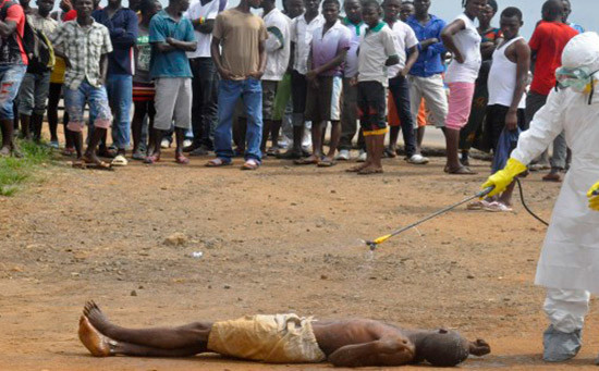 Nuevo brote de ébola, virus similar al que atacó a Liberia con anterioridad