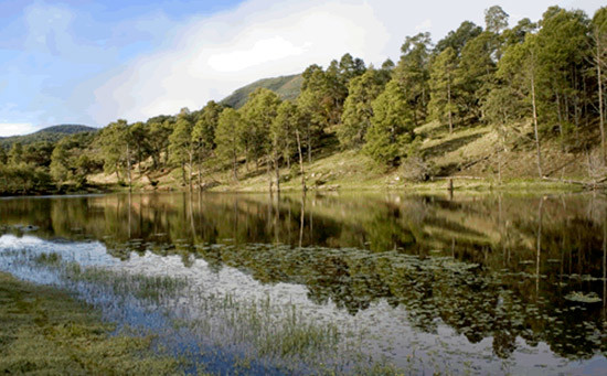 Aguascalientes cumple compromiso con medio ambiente