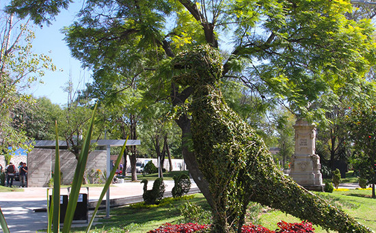 Impulsa gobierno municipal beneficios ambientales y atractivo turístico en espacios públicos a través del arte topiario