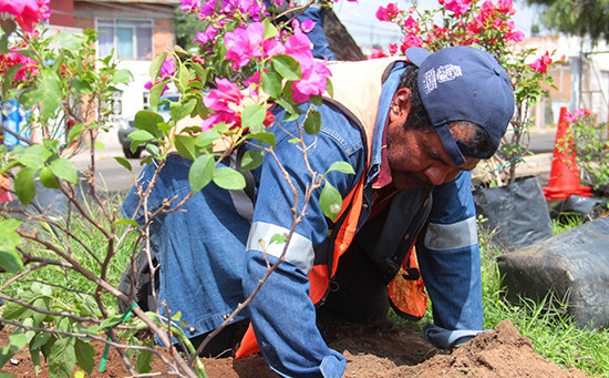 CONTINÚA EL GOBIERNO MUNICIPAL REHABILITANDO ESPACIOS PÚBLICOS EN DIFERENTES PUNTOS DE LA CIUDAD