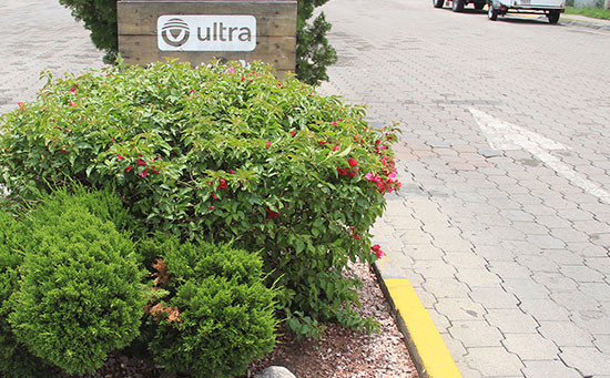 El programa municipal adopta un camellón suma la colaboración de 17 empresas socialmente responsables