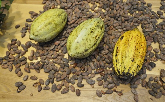 Emiten billete de lotería conmemorativo del “Cacao, alimentos de los dioses”