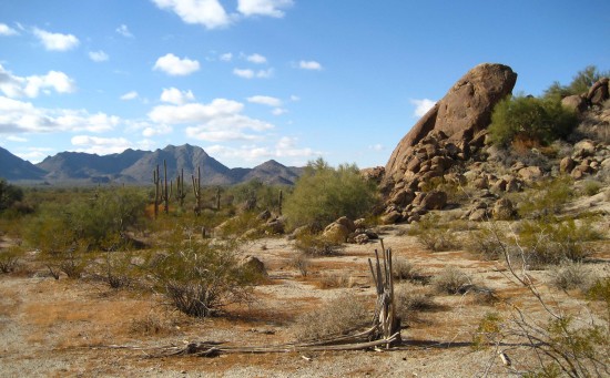 Noreste de Sonora registra temperatura de 42 grados